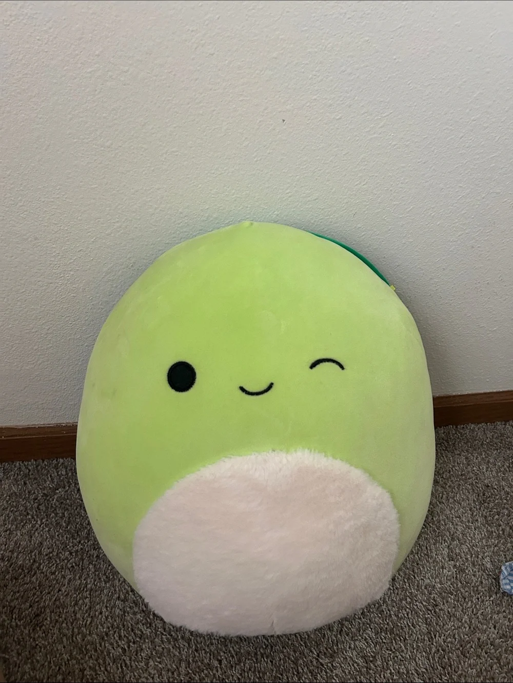 Squishmellow Henry The Turtle “12